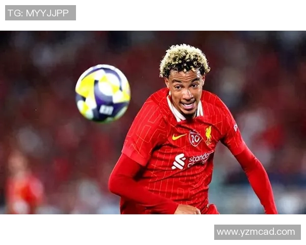 努涅斯的崛起与挑战:解析这位新星在足球世界中的影响力与未来潜力