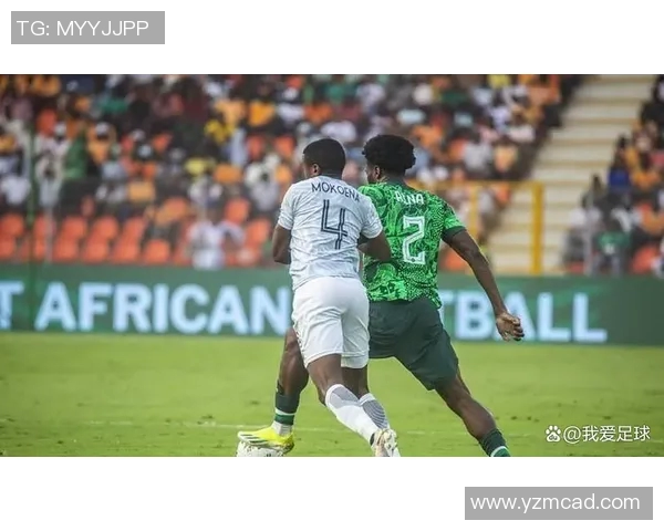 尼日利亚与南非精彩对决录像回放及赛后分析分享
